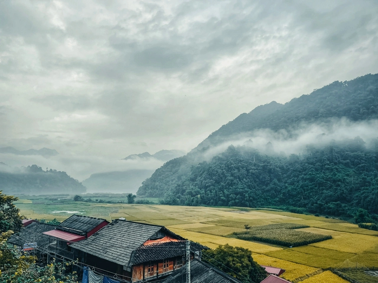 7 Hidden Nature Spots Near Hanoi for Nature Lovers