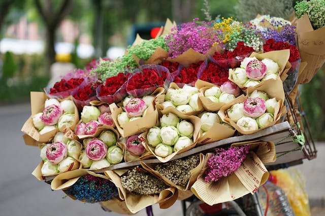 hanoi spring