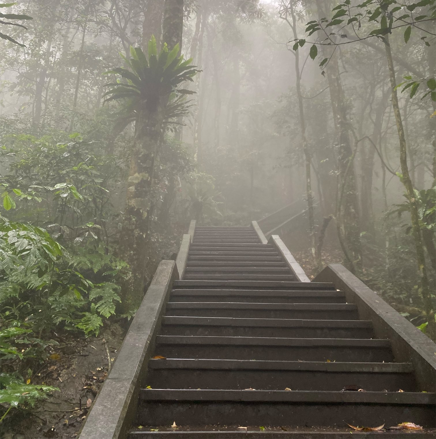 ba vi stairs for trekking to the top 